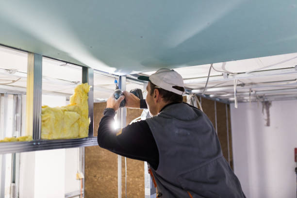 Best Eco-Friendly or Green Insulation Solutions  in Cairo, IL