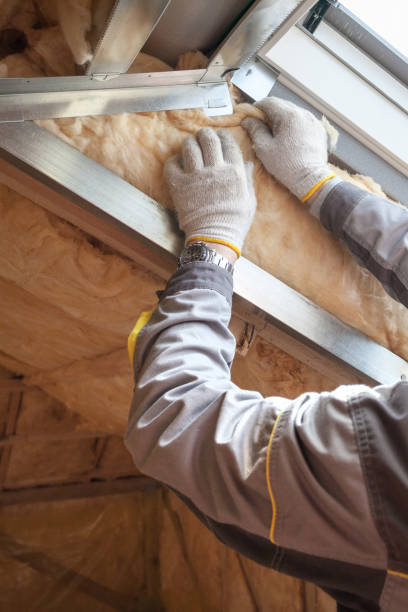 Best Insulation for New Construction  in Cairo, IL