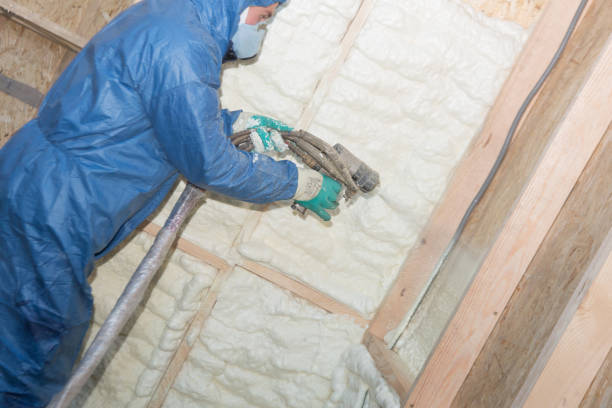 Best Crawl Space Insulation  in Cairo, IL